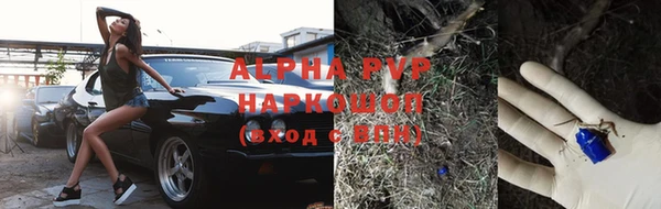 прущий лед Ельня