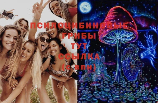 прущий лед Ельня