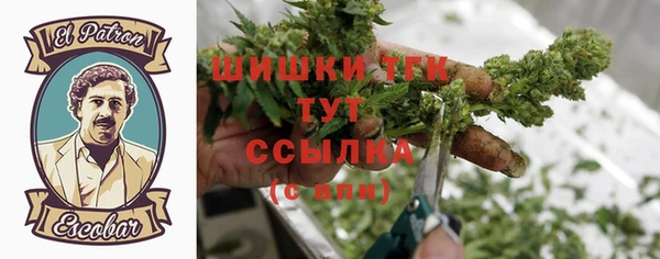 прущий лед Ельня